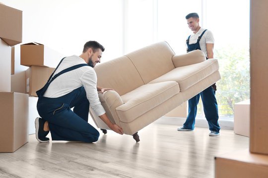 Furniture Movers